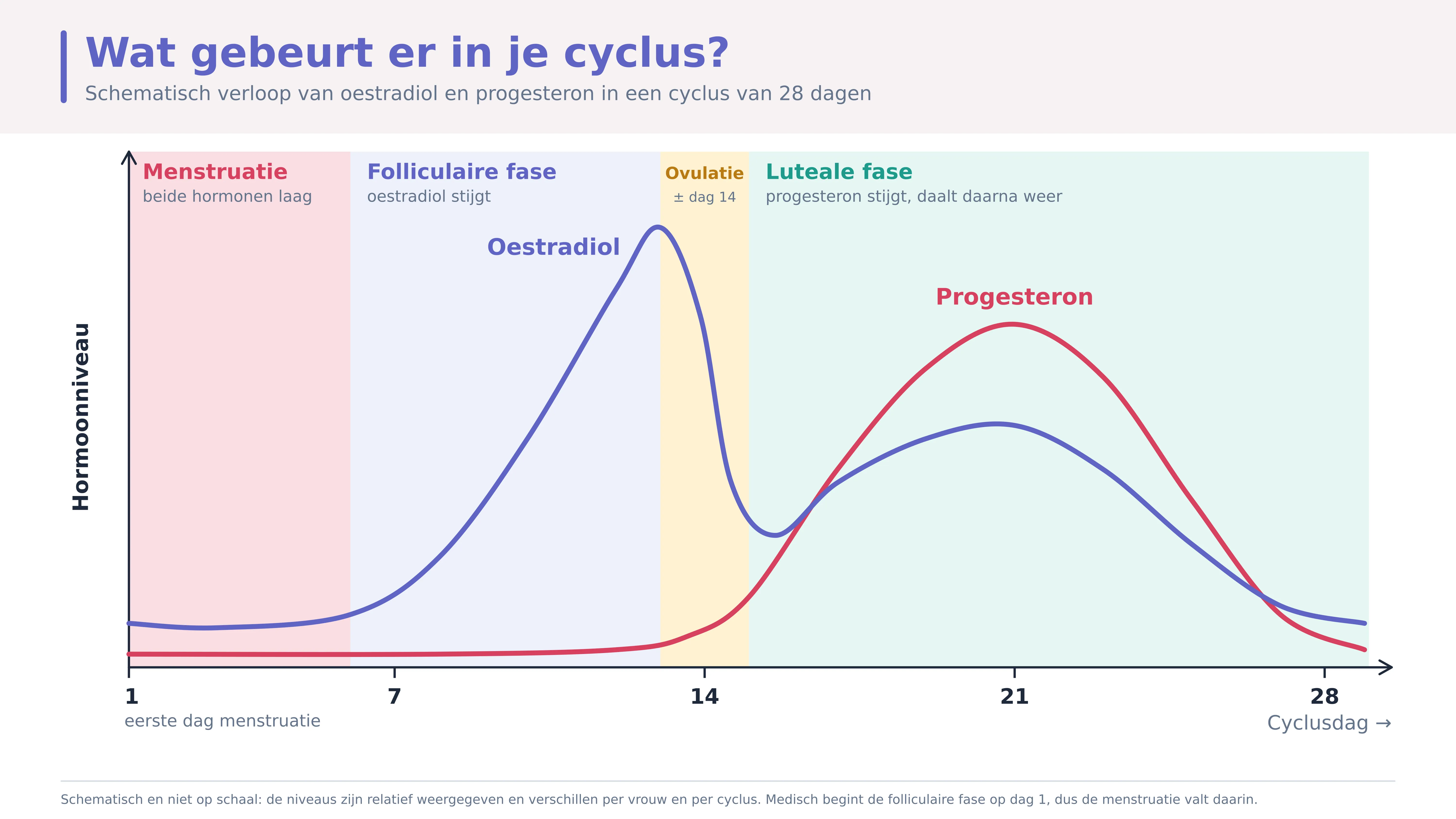Menstruatiecyclus-figuur I FemmePrex